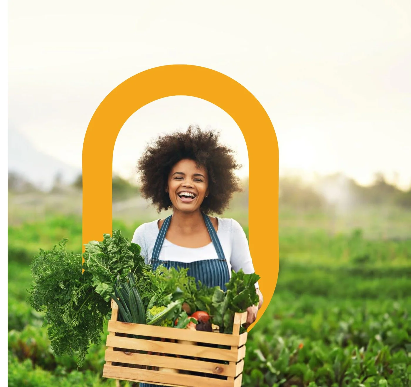 Smiling farmer carrying a crate of fresh vegetables in a field, framed by the AgriLink gold arch